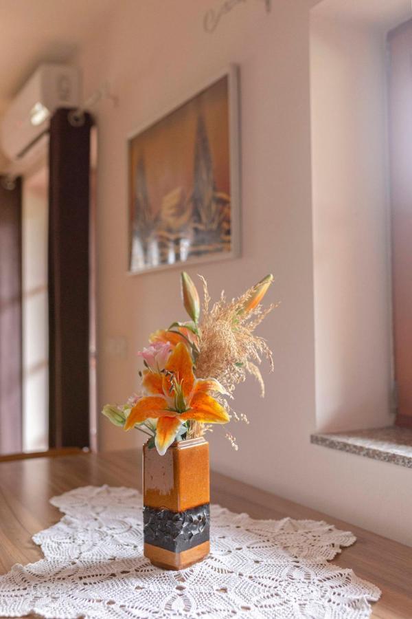Apartma Metka 메드보데 외부 사진